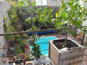 Maison de ville terrasse piscine jardin